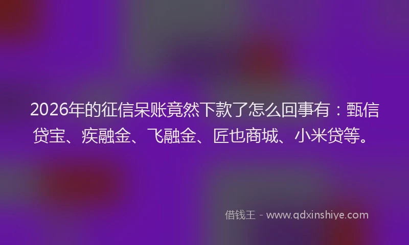 2026年的征信呆账竟然下款了怎么回事有：甄信贷宝、疾融金、飞融金、匠也商城、小米贷等。