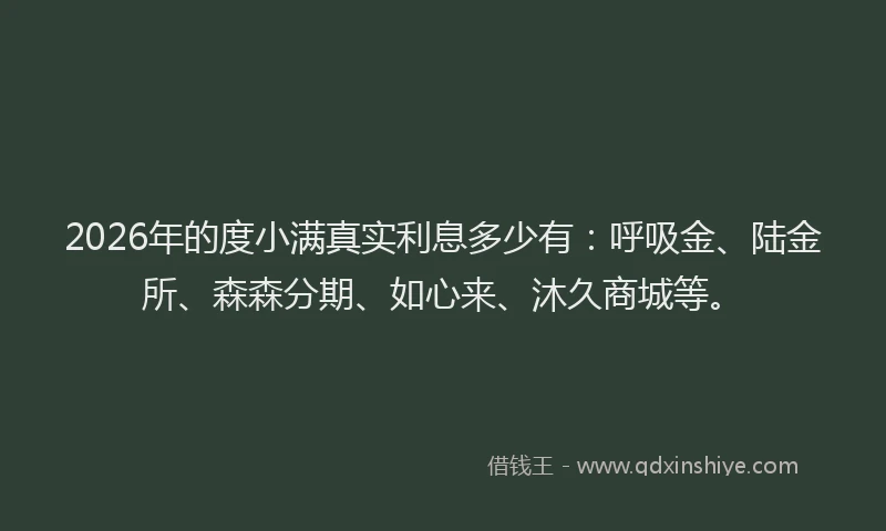 2026年的度小满真实利息多少有：呼吸金、陆金所、森森分期、如心来、沐久商城等。