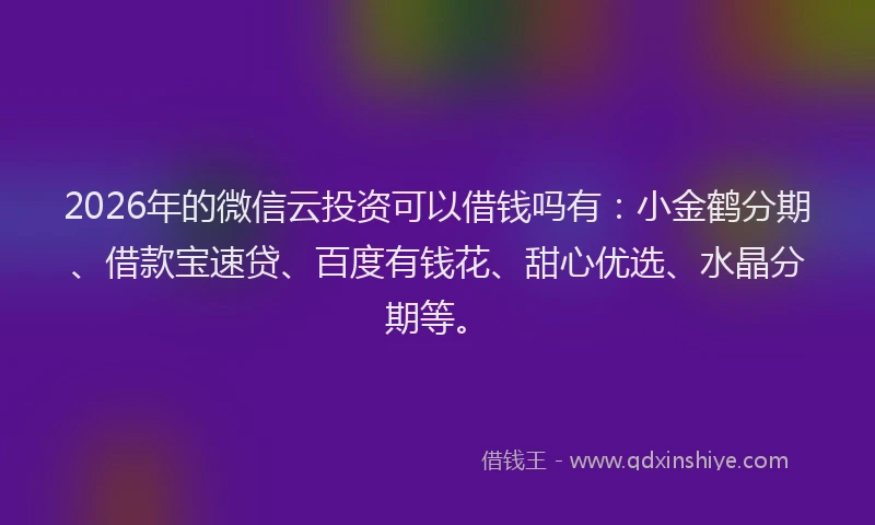 2026年的微信云投资可以借钱吗有：小金鹤分期、借款宝速贷、百度有钱花、甜心优选、水晶分期等。
