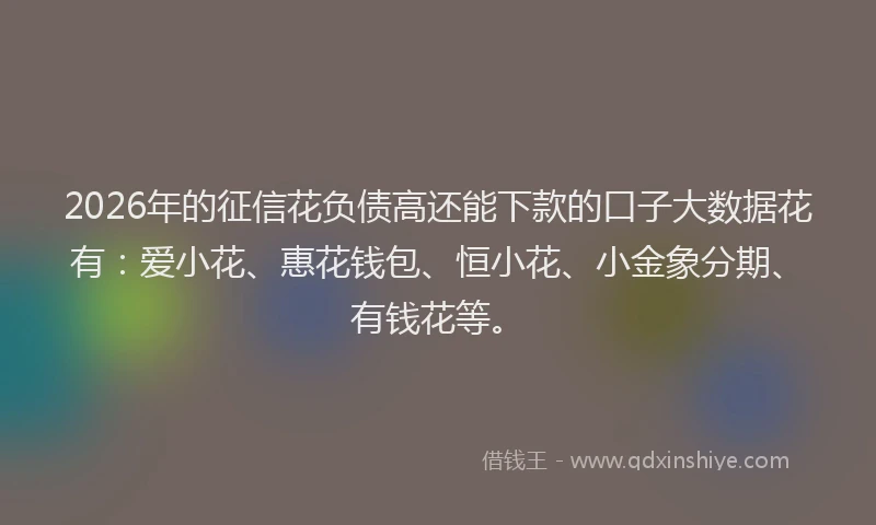 2026年的征信花负债高还能下款的口子大数据花有：爱小花、惠花钱包、恒小花、小金象分期、有钱花等。