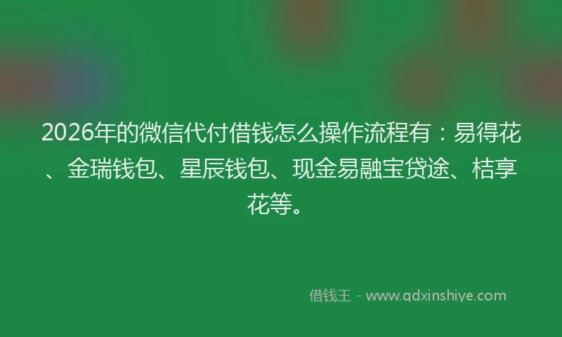 2026年的微信代付借钱怎么操作流程有：易得花、金瑞钱包、星辰钱包、现金易融宝贷途、桔享花等。