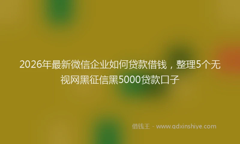 2026年最新微信企业如何贷款借钱，整理5个无视网黑征信黑5000贷款口子
