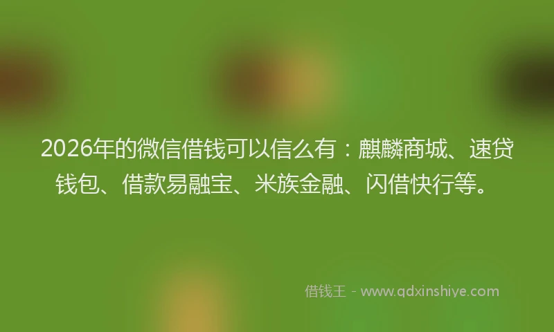 2026年的微信借钱可以信么有：麒麟商城、速贷钱包、借款易融宝、米族金融、闪借快行等。