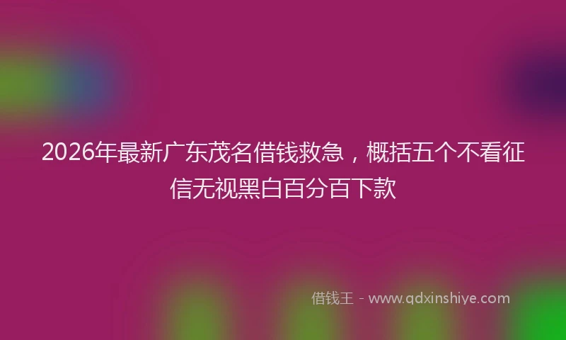 2026年最新广东茂名借钱救急，概括五个不看征信无视黑白百分百下款