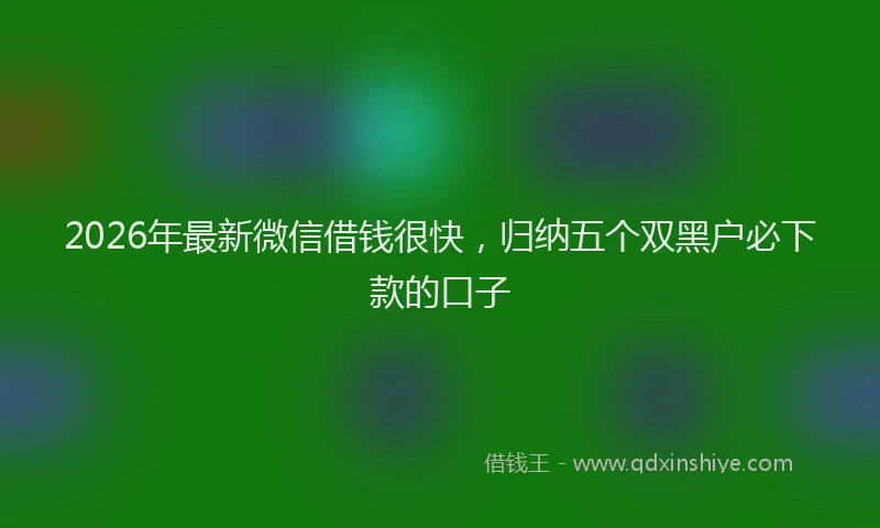 2026年最新微信借钱很快，归纳五个双黑户必下款的口子