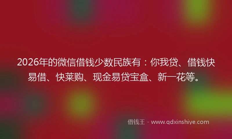 2026年的微信借钱少数民族有：你我贷、借钱快易借、快莱购、现金易贷宝盒、新一花等。