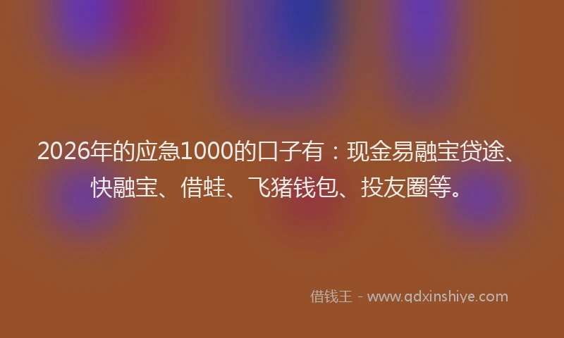 2026年的应急1000的口子有：现金易融宝贷途、快融宝、借蛙、飞猪钱包、投友圈等。
