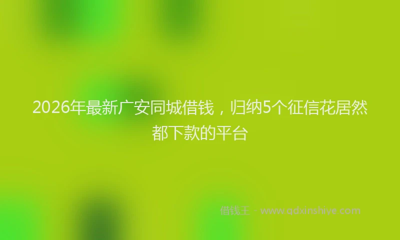 2026年最新广安同城借钱，归纳5个征信花居然都下款的平台