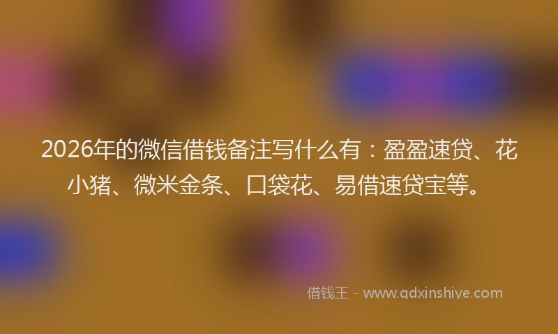 2026年的微信借钱备注写什么有：盈盈速贷、花小猪、微米金条、口袋花、易借速贷宝等。