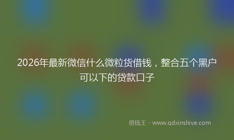 2026年最新微信什么微粒货借钱，整合五个黑户可以下的贷款口子