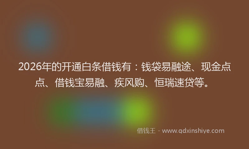 2026年的开通白条借钱有：钱袋易融途、现金点点、借钱宝易融、疾风购、恒瑞速贷等。