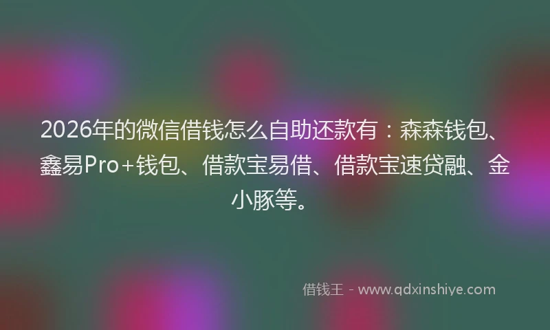 2026年的微信借钱怎么自助还款有：森森钱包、鑫易Pro+钱包、借款宝易借、借款宝速贷融、金小豚等。