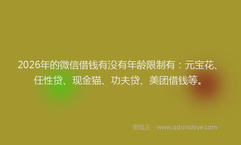 2026年的微信借钱有没有年龄限制有：元宝花、任性贷、现金猫、功夫贷、美团借钱等。