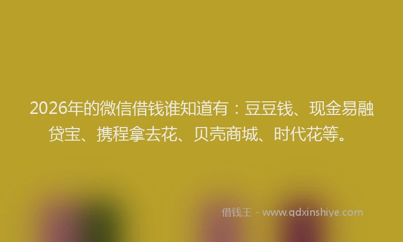 2026年的微信借钱谁知道有：豆豆钱、现金易融贷宝、携程拿去花、贝壳商城、时代花等。