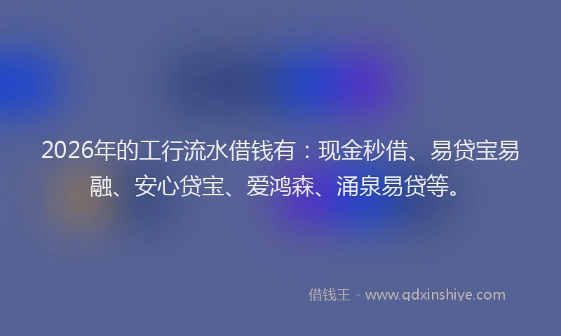 2026年的工行流水借钱有：现金秒借、易贷宝易融、安心贷宝、爱鸿森、涌泉易贷等。