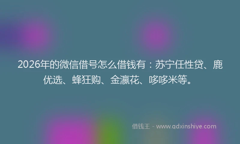 2026年的微信借号怎么借钱有：苏宁任性贷、鹿优选、蜂狂购、金瀛花、哆哆米等。