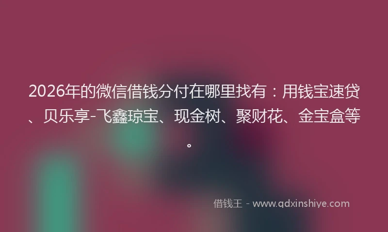 2026年的微信借钱分付在哪里找有：用钱宝速贷、贝乐享-飞鑫琼宝、现金树、聚财花、金宝盒等。