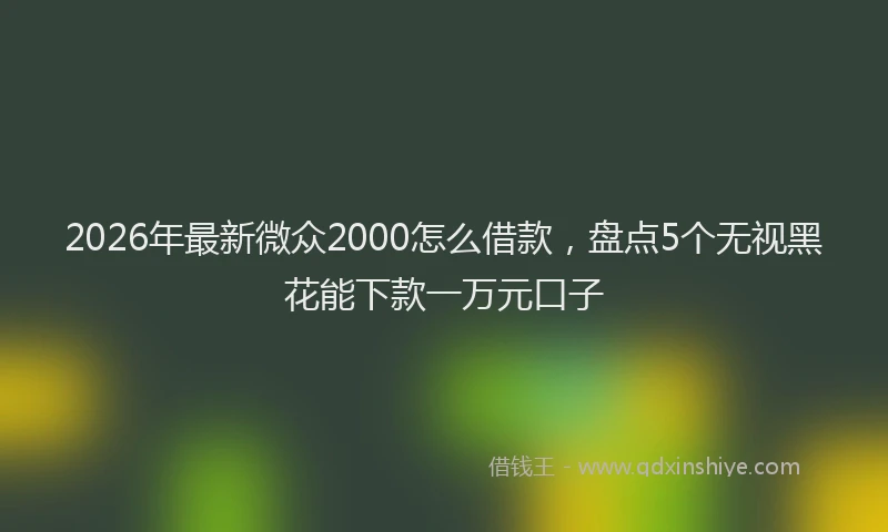 2026年最新微众2000怎么借款，盘点5个无视黑花能下款一万元口子