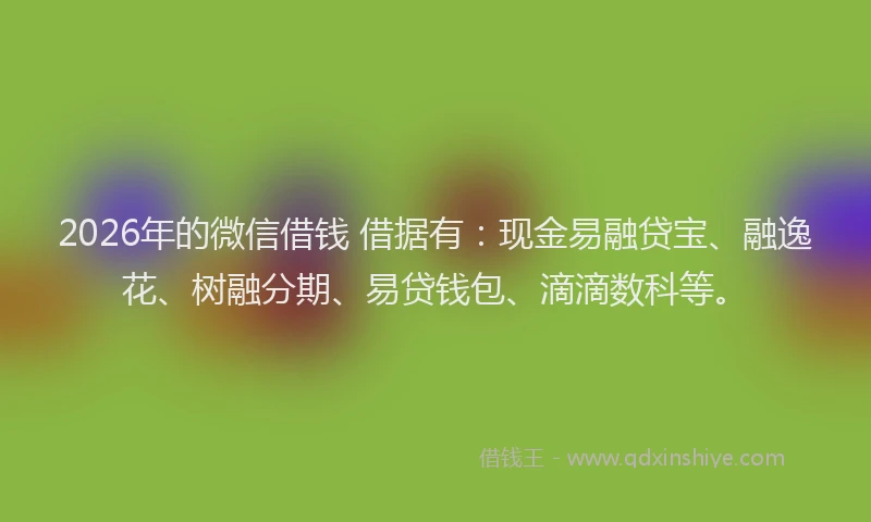 2026年的微信借钱 借据有：现金易融贷宝、融逸花、树融分期、易贷钱包、滴滴数科等。
