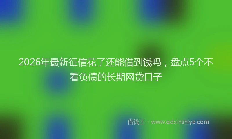 2026年最新征信花了还能借到钱吗，盘点5个不看负债的长期网贷口子