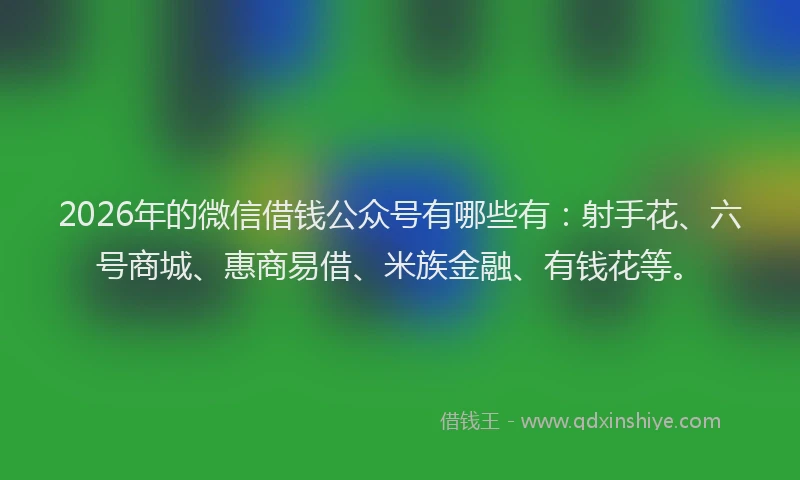 2026年的微信借钱公众号有哪些有：射手花、六号商城、惠商易借、米族金融、有钱花等。