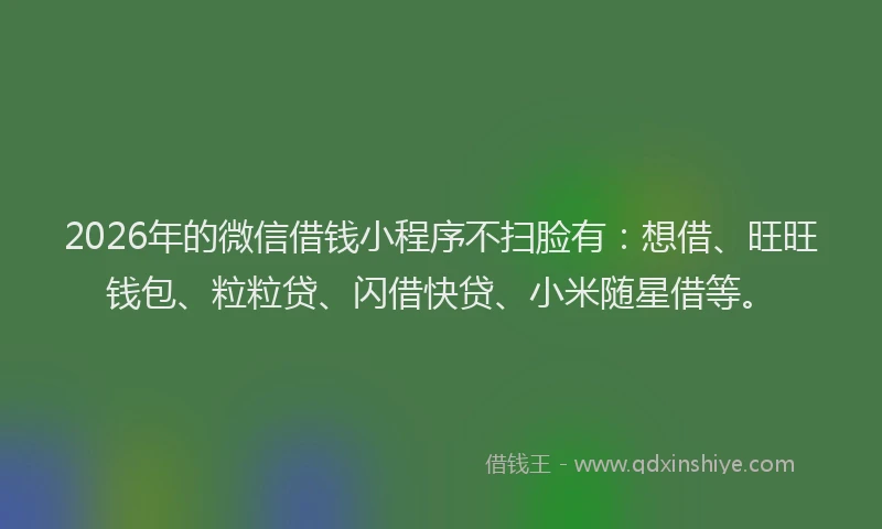 2026年的微信借钱小程序不扫脸有：想借、旺旺钱包、粒粒贷、闪借快贷、小米随星借等。