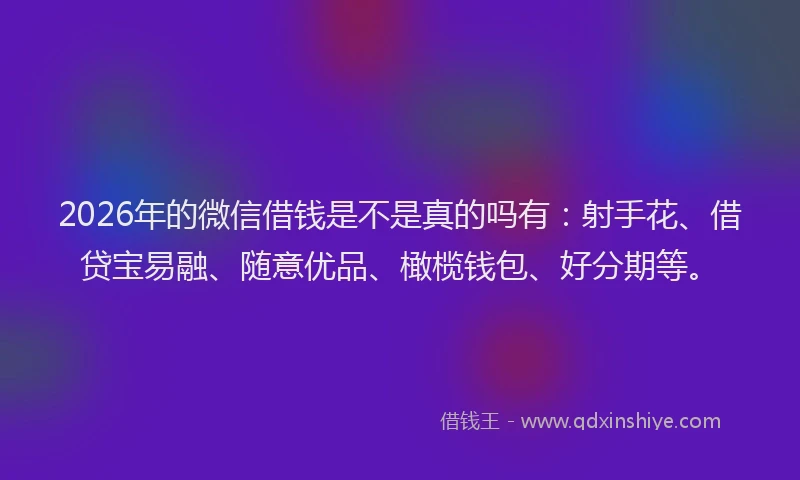 2026年的微信借钱是不是真的吗有：射手花、借贷宝易融、随意优品、橄榄钱包、好分期等。