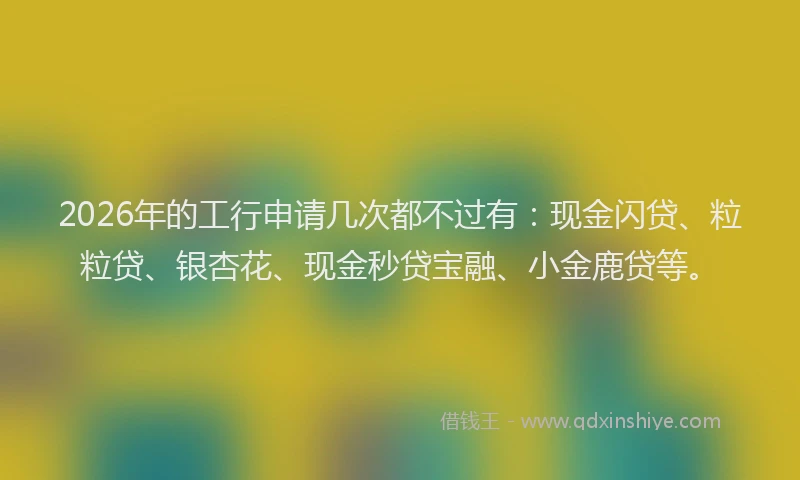 2026年的工行申请几次都不过有：现金闪贷、粒粒贷、银杏花、现金秒贷宝融、小金鹿贷等。
