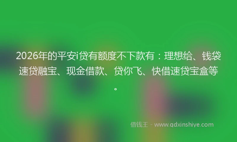 2026年的平安i贷有额度不下款有：理想给、钱袋速贷融宝、现金借款、贷你飞、快借速贷宝盒等。
