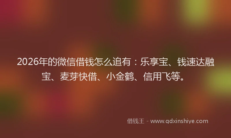 2026年的微信借钱怎么追有：乐享宝、钱速达融宝、麦芽快借、小金鹤、信用飞等。