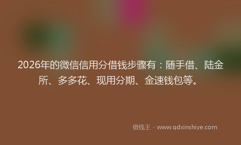 2026年的微信信用分借钱步骤有：随手借、陆金所、多多花、现用分期、金速钱包等。