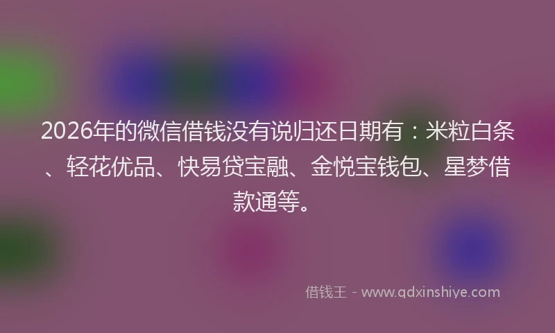 2026年的微信借钱没有说归还日期有：米粒白条、轻花优品、快易贷宝融、金悦宝钱包、星梦借款通等。