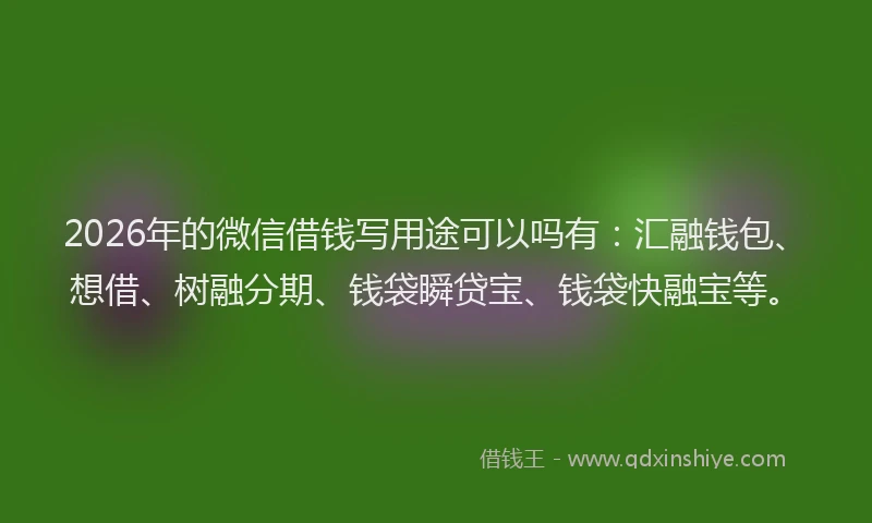 2026年的微信借钱写用途可以吗有：汇融钱包、想借、树融分期、钱袋瞬贷宝、钱袋快融宝等。