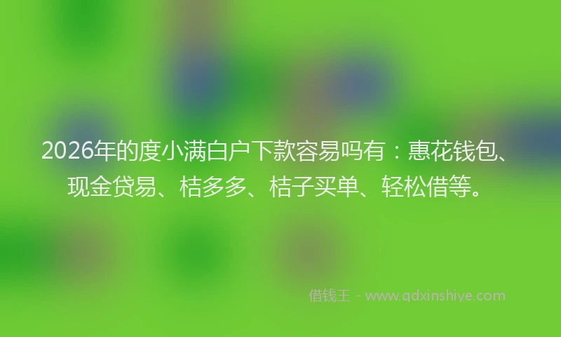 2026年的度小满白户下款容易吗有：惠花钱包、现金贷易、桔多多、桔子买单、轻松借等。