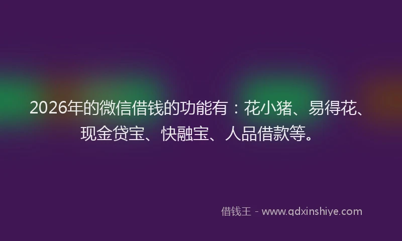 2026年的微信借钱的功能有：花小猪、易得花、现金贷宝、快融宝、人品借款等。