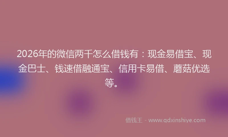2026年的微信两千怎么借钱有：现金易借宝、现金巴士、钱速借融通宝、信用卡易借、蘑菇优选等。