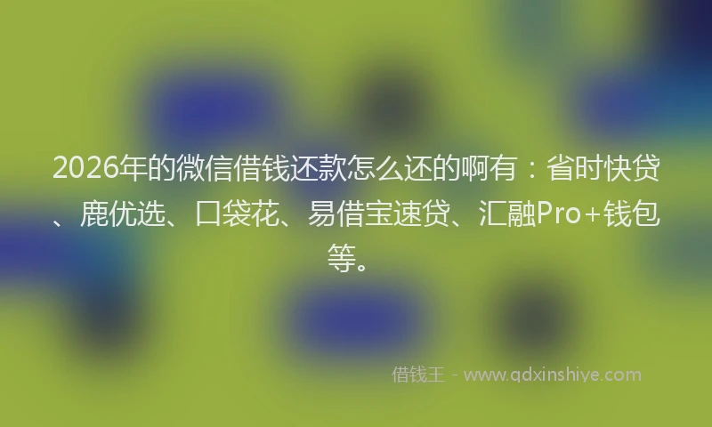2026年的微信借钱还款怎么还的啊有：省时快贷、鹿优选、口袋花、易借宝速贷、汇融Pro+钱包等。