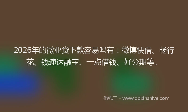 2026年的微业贷下款容易吗有：微博快借、畅行花、钱速达融宝、一点借钱、好分期等。