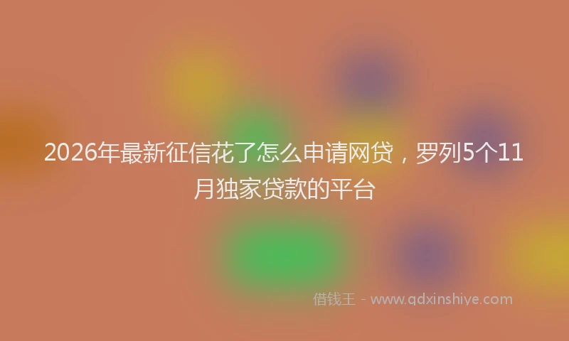 2026年最新征信花了怎么申请网贷，罗列5个11月独家贷款的平台