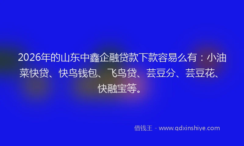 2026年的山东中鑫企融贷款下款容易么有：小油菜快贷、快鸟钱包、飞鸟贷、芸豆分、芸豆花、快融宝等。