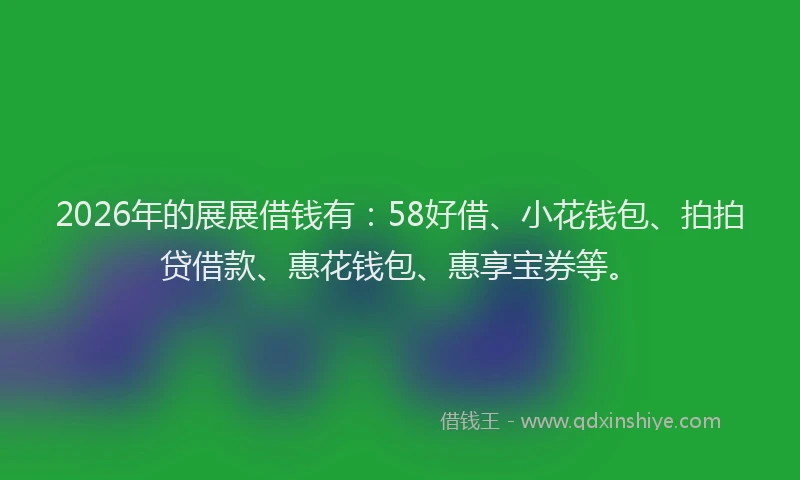2026年的展展借钱有：58好借、小花钱包、拍拍贷借款、惠花钱包、惠享宝券等。