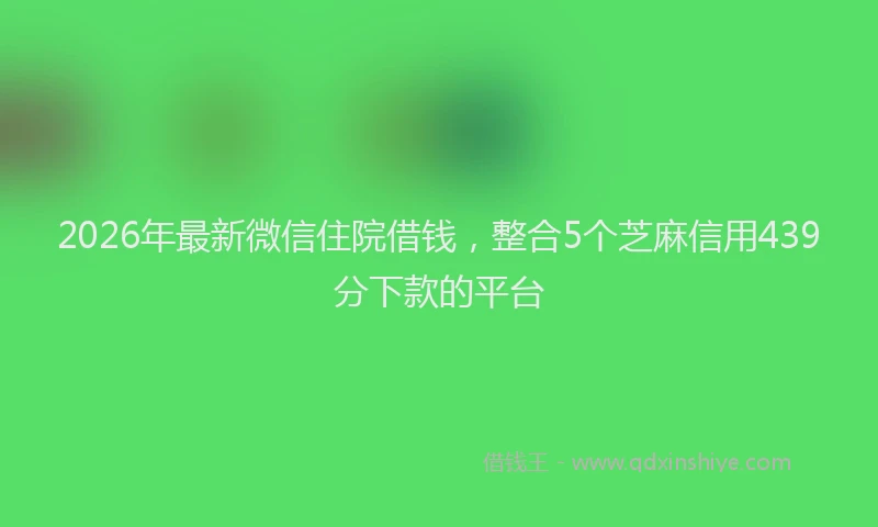 2026年最新微信住院借钱，整合5个芝麻信用439分下款的平台
