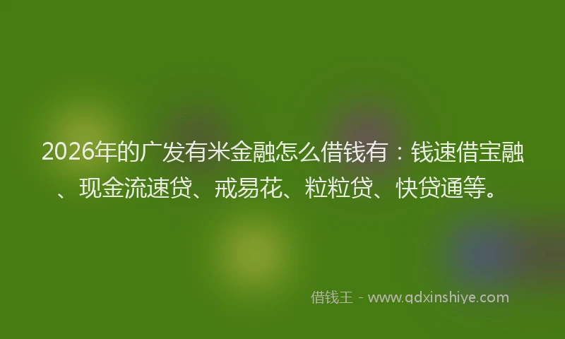2026年的广发有米金融怎么借钱有：钱速借宝融、现金流速贷、戒易花、粒粒贷、快贷通等。