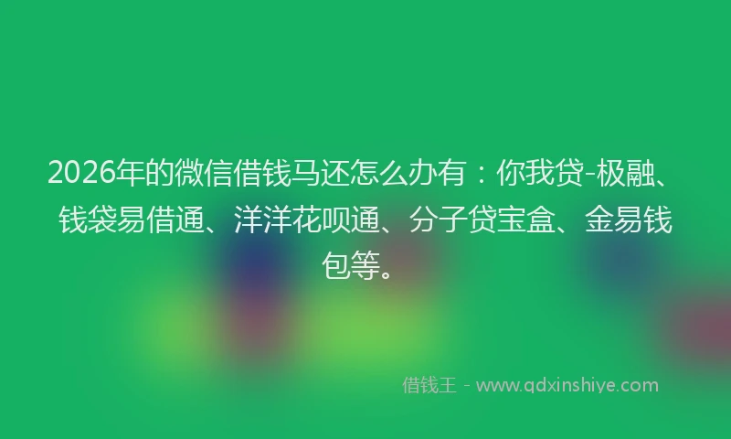 2026年的微信借钱马还怎么办有：你我贷-极融、钱袋易借通、洋洋花呗通、分子贷宝盒、金易钱包等。