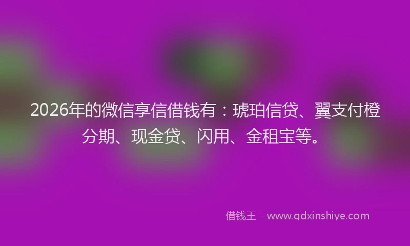 2026年的微信享信借钱有：琥珀信贷、翼支付橙分期、现金贷、闪用、金租宝等。