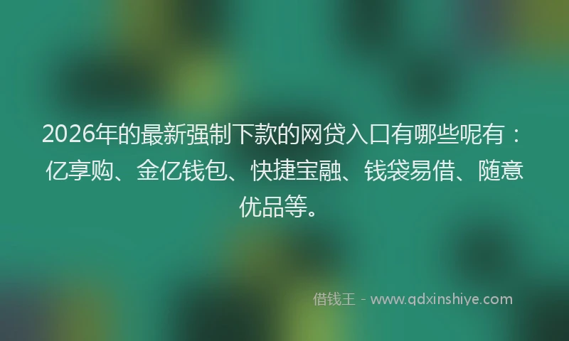 2026年的最新强制下款的网贷入口有哪些呢有：亿享购、金亿钱包、快捷宝融、钱袋易借、随意优品等。