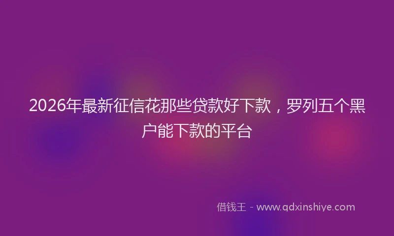 2026年最新征信花那些贷款好下款，罗列五个黑户能下款的平台