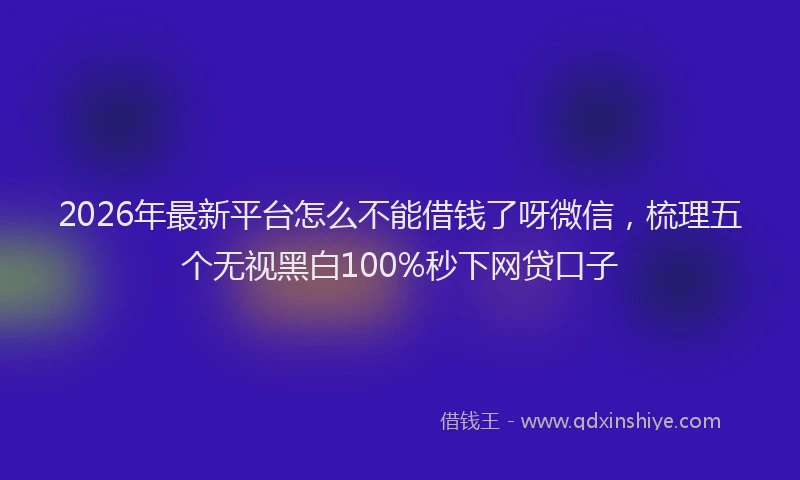 2026年最新平台怎么不能借钱了呀微信，梳理五个无视黑白100%秒下网贷口子