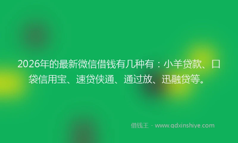 2026年的最新微信借钱有几种有：小羊贷款、口袋信用宝、速贷侠通、通过放、迅融贷等。