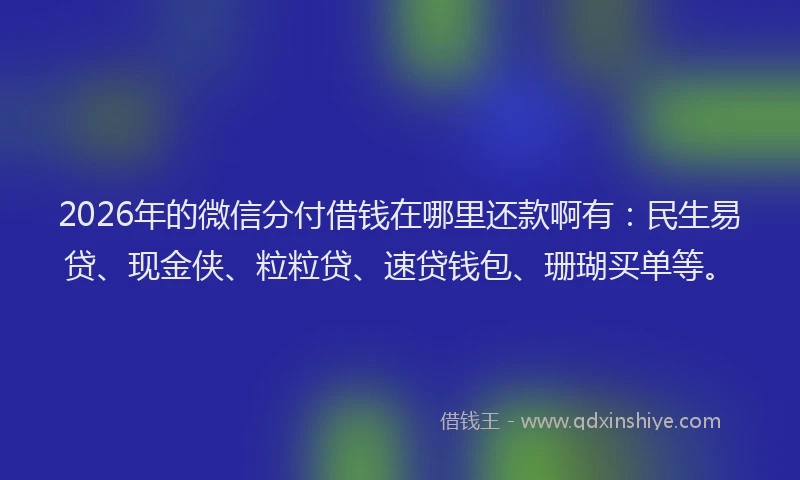 2026年的微信分付借钱在哪里还款啊有：民生易贷、现金侠、粒粒贷、速贷钱包、珊瑚买单等。